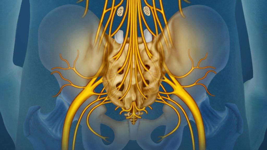 Kauda Equina Sendromu Nedir ve Nasıl Tedavi Edilir?