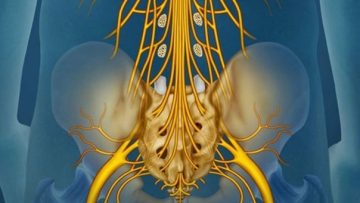 l d6SeMeQYY Kauda Equina Sendromu Nedir? Belirtileri, Tedavisi ve Fizik Tedavi Süreci