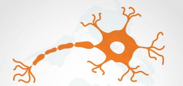 MS akselsiva scaled 1 MS Hastaları İçin Fonksiyonel Rehabilitasyon Yaklaşımları